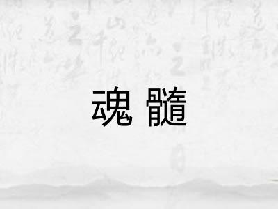 魂髓 魂髓
