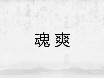 魂爽 魂爽