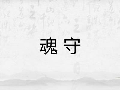 魂守 魂守