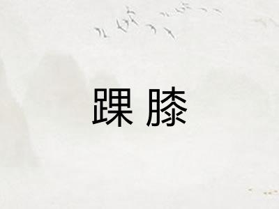 踝膝 踝膝
