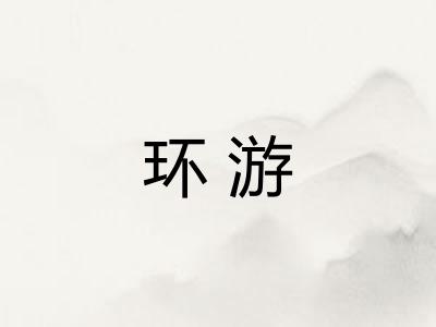 环游 环游