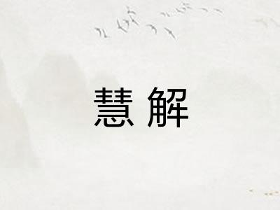 慧解 慧解