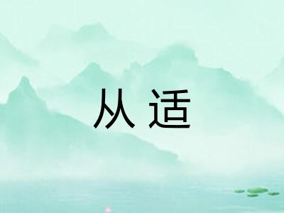 从适 从适