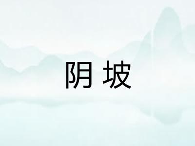 阴坡 阴坡