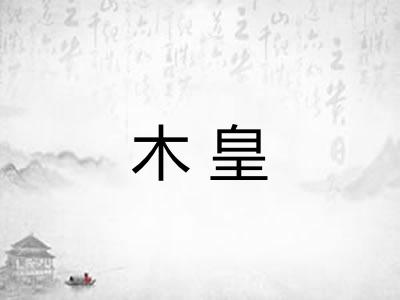 木皇 木皇