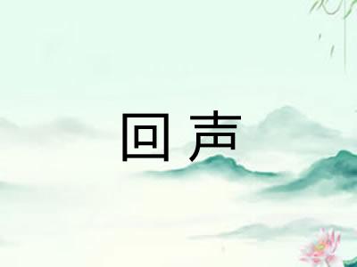 回声 回声