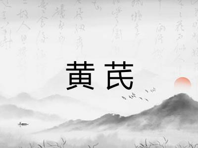 黄芪 黄芪