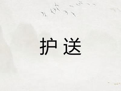 护送 护送