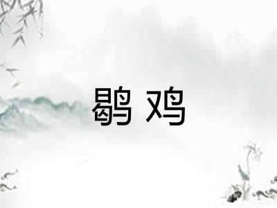 鹖鸡 鹖鸡