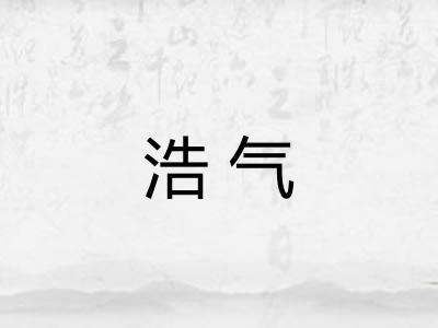 浩气 浩气