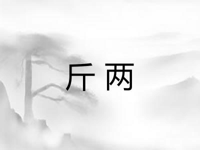 斤两 斤两