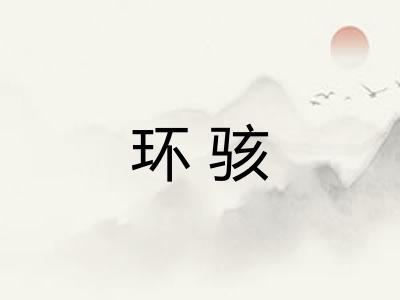 环骇 环骇