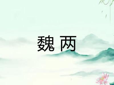 魏两 魏两