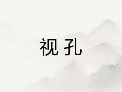 视孔 视孔