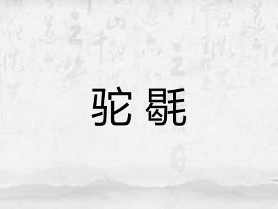 驼毼 驼毼