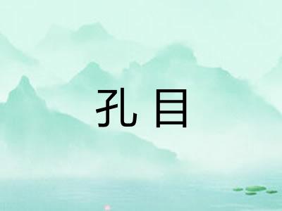 孔目 孔目