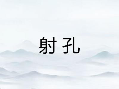 射孔 射孔