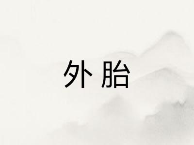 外胎 外胎