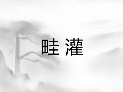 畦灌 畦灌