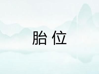 胎位 胎位