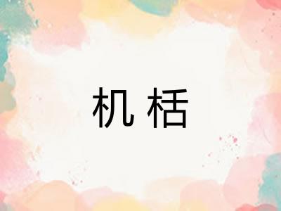 机栝 机栝