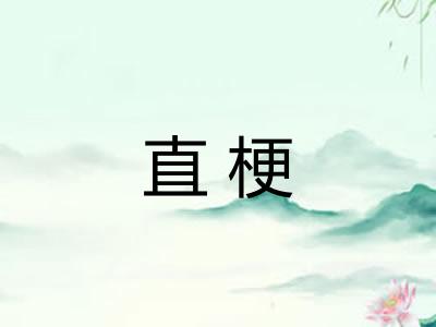 直梗 直梗
