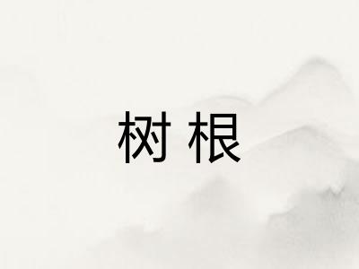 树根 树根