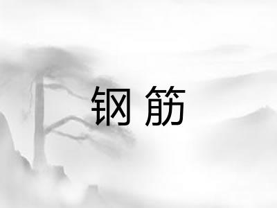 钢筋 钢筋