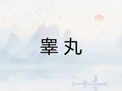 睾丸 睾丸