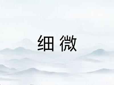 细微 细微