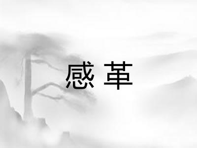 感革 感革