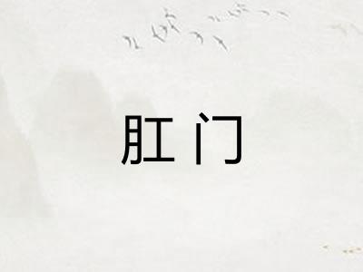 肛门 肛门
