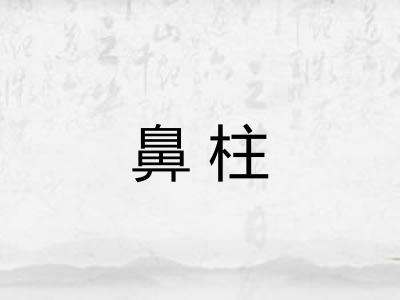 鼻柱 鼻柱