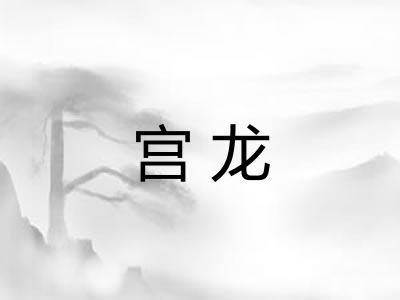 宫龙 宫龙