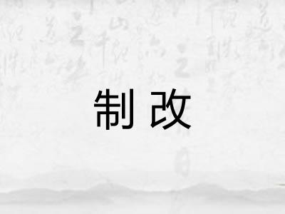 制改 制改