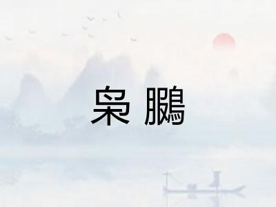 枭鵩 枭鵩