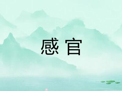 感官 感官