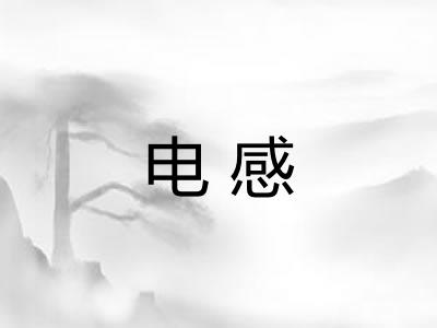 电感 电感
