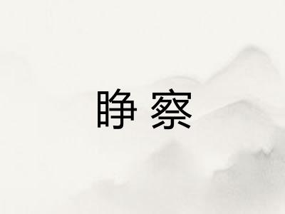 睁察 睁察