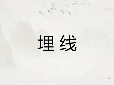 埋线 埋线