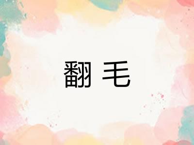 翻毛 翻毛