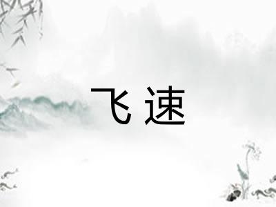 飞速 飞速
