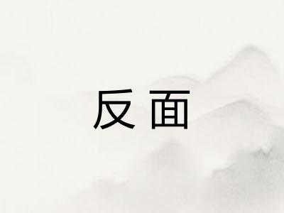 反面 反面