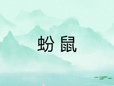 蚡鼠 蚡鼠