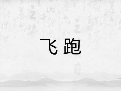 飞跑 飞跑