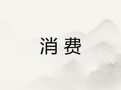消费 消费
