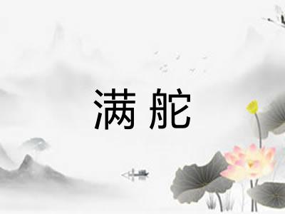 满舵 满舵