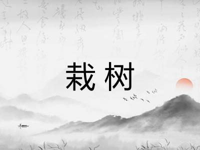 栽树 栽树