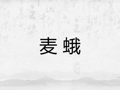 麦蛾 麦蛾