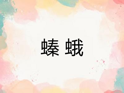 螓蛾 螓蛾